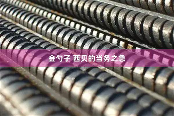 金勺子 西贝的当务之急