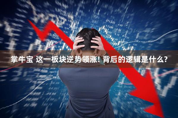 掌牛宝 这一板块逆势领涨! 背后的逻辑是什么?