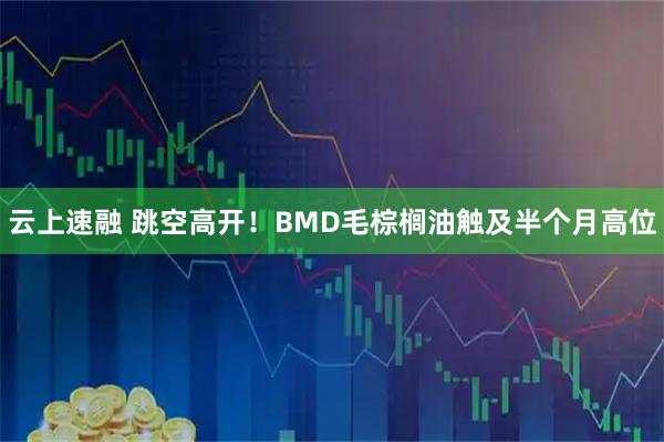 云上速融 跳空高开！BMD毛棕榈油触及半个月高位