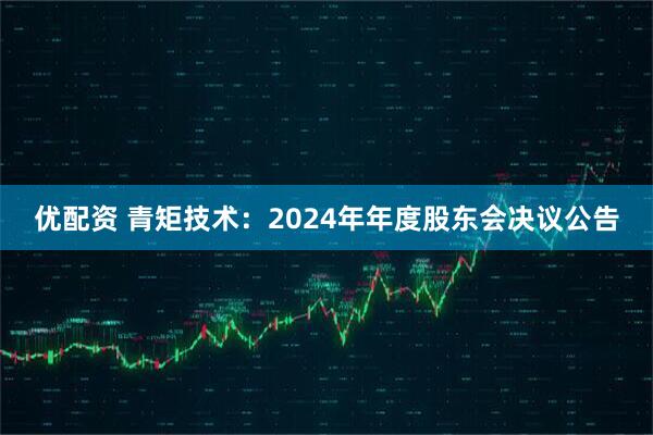 优配资 青矩技术：2024年年度股东会决议公告