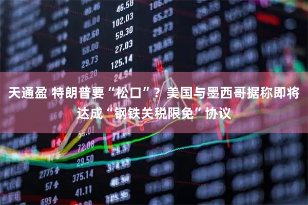 天通盈 特朗普要“松口”？美国与墨西哥据称即将达成“钢铁关税限免”协议