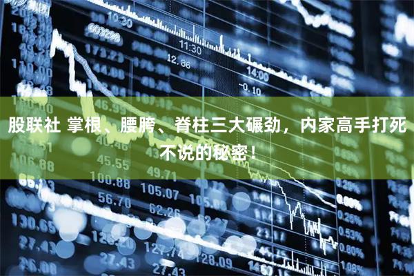 股联社 掌根、腰胯、脊柱三大碾劲，内家高手打死不说的秘密！